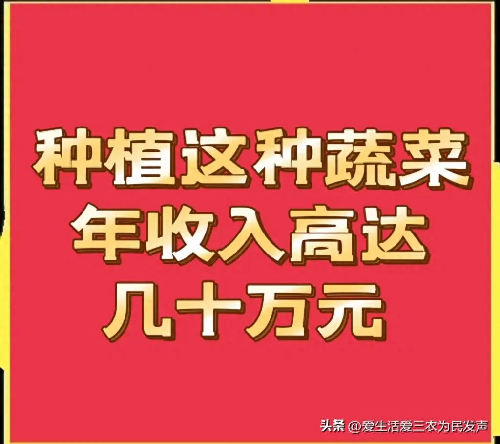 养殖致富项目视频_致富经蔬菜大棚养猪_现代化养殖蔬菜视频致富经