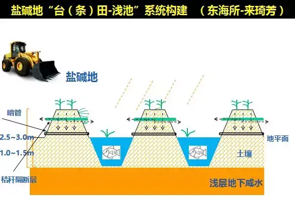 青蟹淡化养殖_淡水青蟹养殖技术_淡水青蟹养殖技术视频