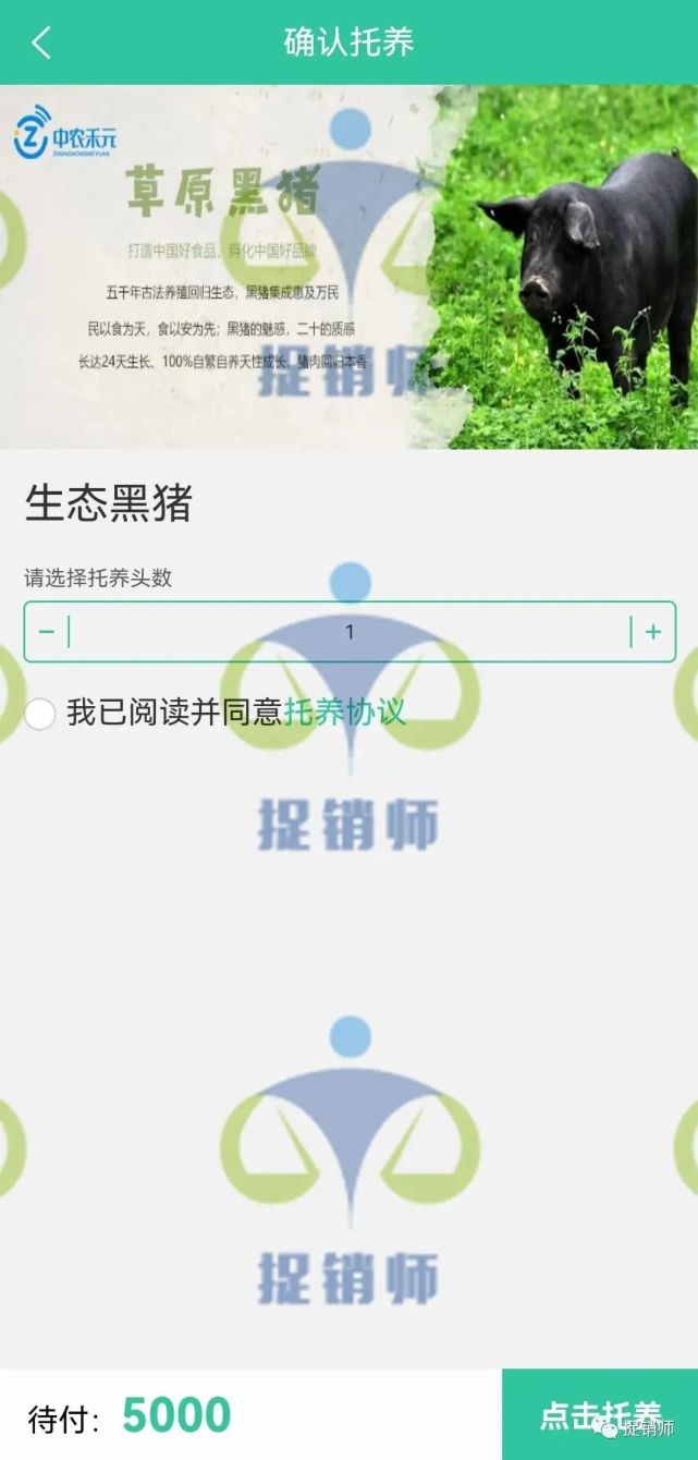 种植养殖致富骗局_养殖致富经_种养致富项目