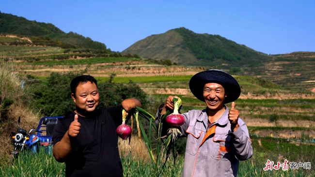 蔬菜种植铺就致富路_致富经蔬菜大棚_致富经蔬菜种植