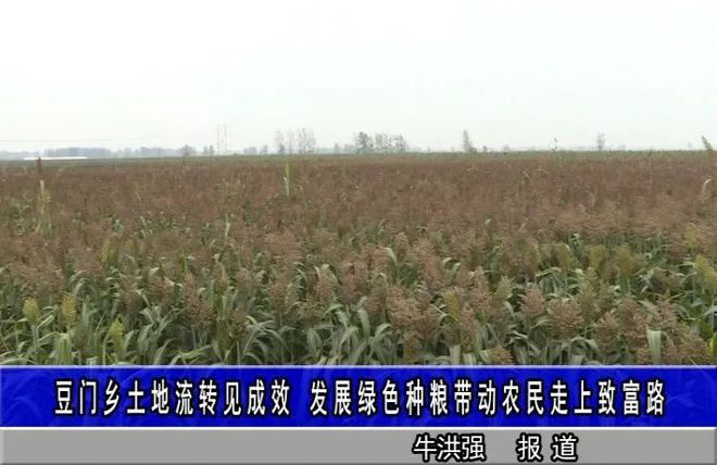 豆门乡土地流转见成效，发展绿色种粮带动农民走上致富路