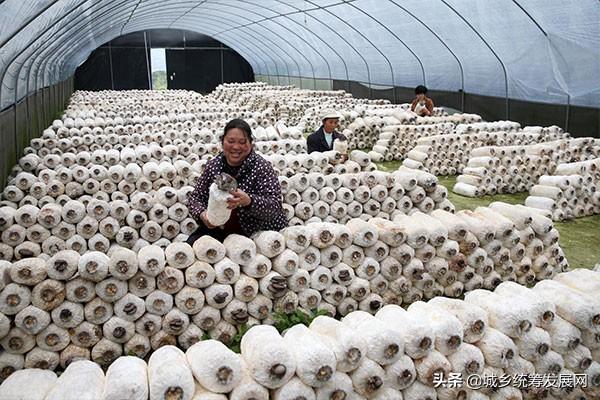 有没有养殖地牯牛的_地牯牛养殖联系方式_地牯牛养殖致富