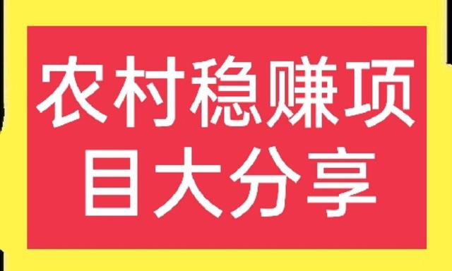 农村创业种植致富_农村致富新项目种植业_致富种植农村创业项目