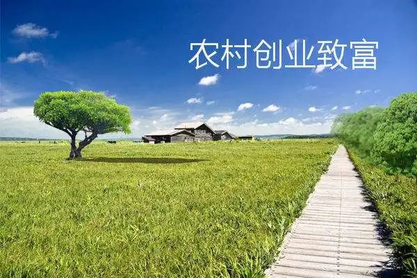 农业种植 致富项目_农村致富项目种植业_农村致富新项目种植业