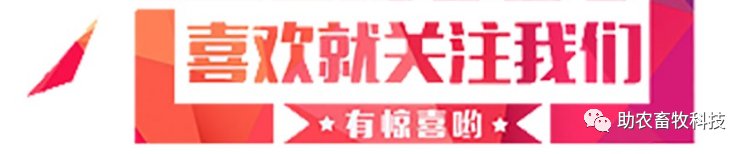 【案例】用“99多功能饲料发酵剂”发酵豆渣饲养大麦虫降低成本效益高