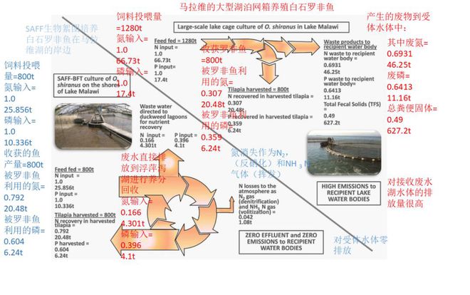 论坛养殖羊技术与管理_羊养殖技术论坛_论坛养殖羊技术论文