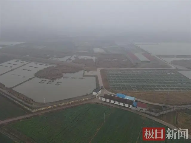 湖北当阳有条财富段子：一盆乌龟端出去，一辆玛莎拉蒂开回来