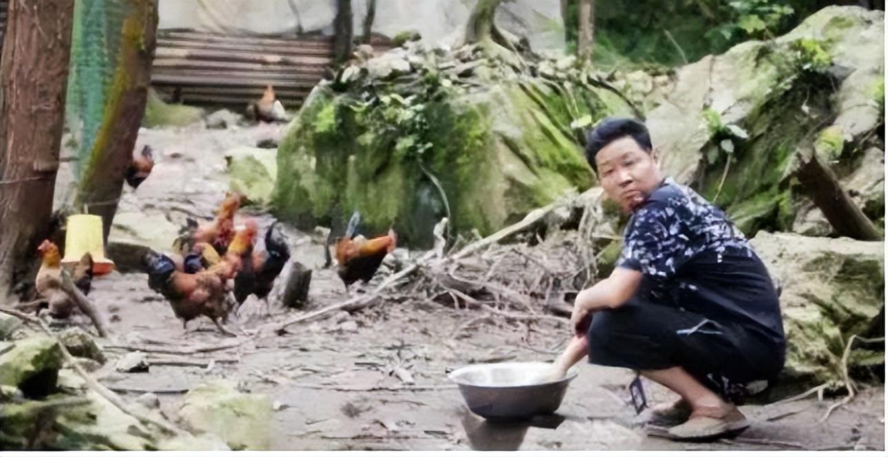 致富养殖土鸡人工费多少_养殖土鸡致富人_致富经土鸡养殖技术视频