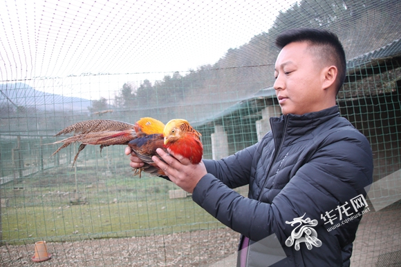 苦过必有甜 他将荒地变成美丽生态农场