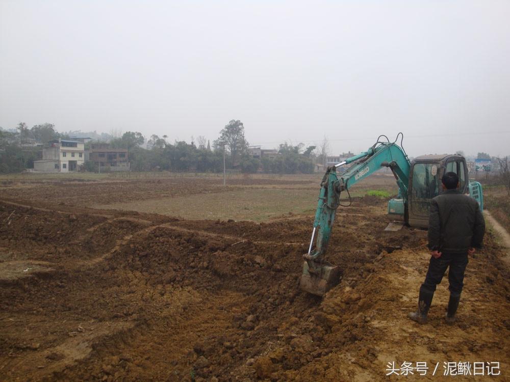 如何养植泥鳅_室内盆养泥鳅技术_泥鳅养殖技术盆养法