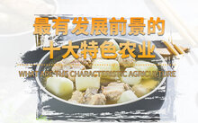 致富牛肉养殖农村视频_农村牛肉养殖致富_致富经肉牛养殖场的视频