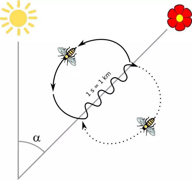 人工养殖马蜂视频_养殖马蜂视频教程全集_马蜂养殖技术公开视频