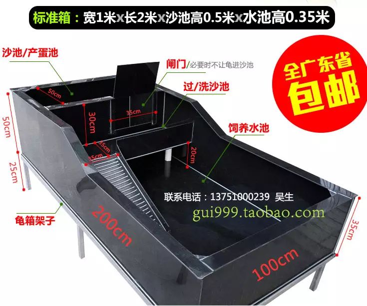 养石龟赚钱吗_石龟养殖池建造方法_石钱龟室内养殖技术