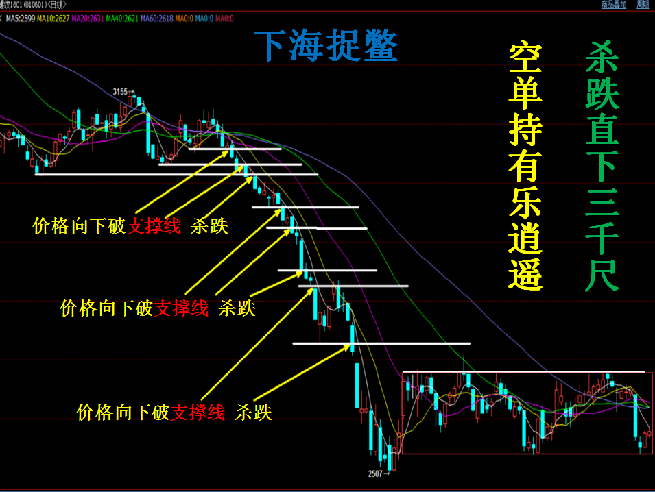 致富经白天鹅养殖_天鹅养殖场_天鹅养殖技术