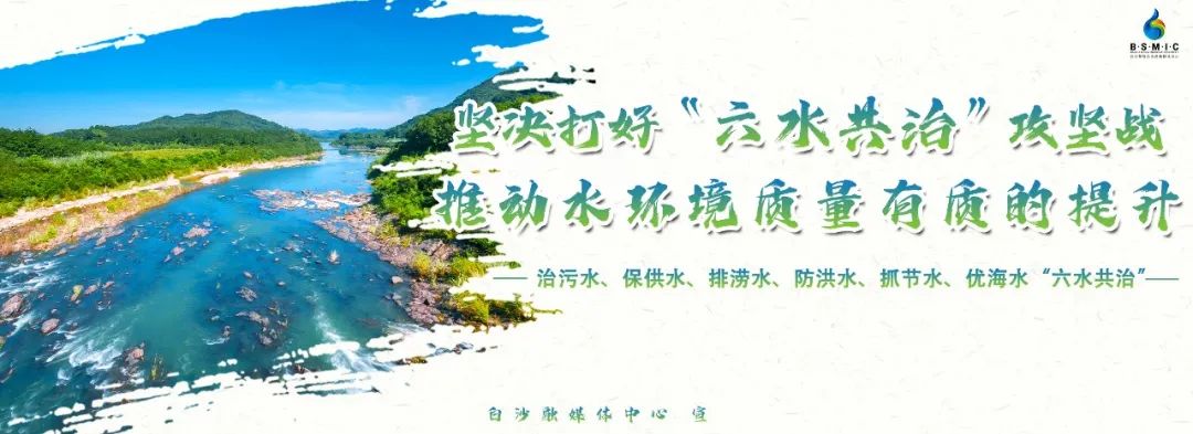 海南日报 | 白沙：林下种植新作物 盘活土地又增收