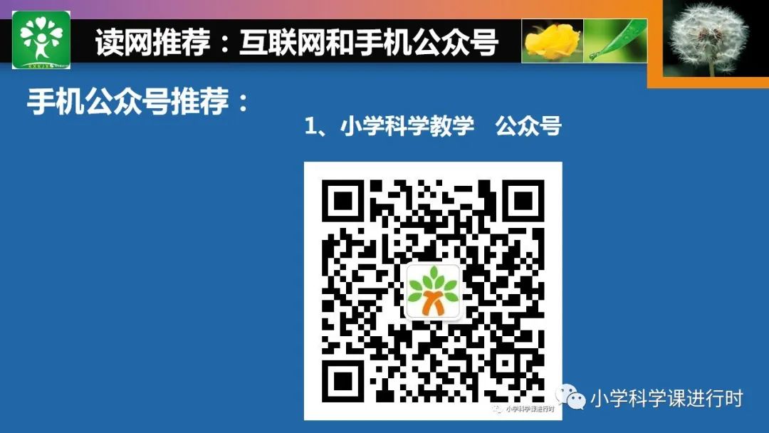 优质课经验交流_优质课经验分享稿_优质课经验材料