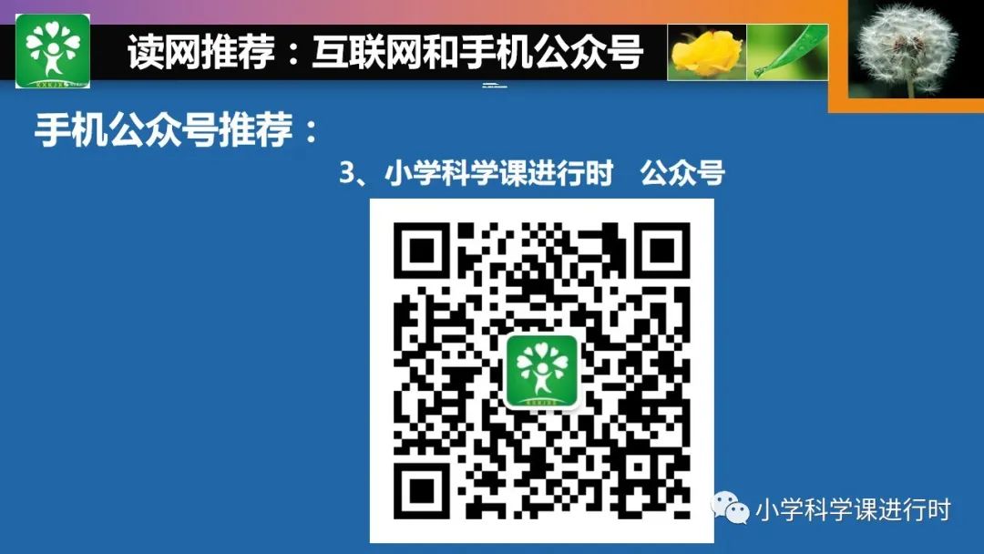 优质课经验材料_优质课经验分享稿_优质课经验交流