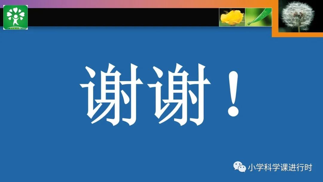 优质课经验材料_优质课经验交流_优质课经验分享稿