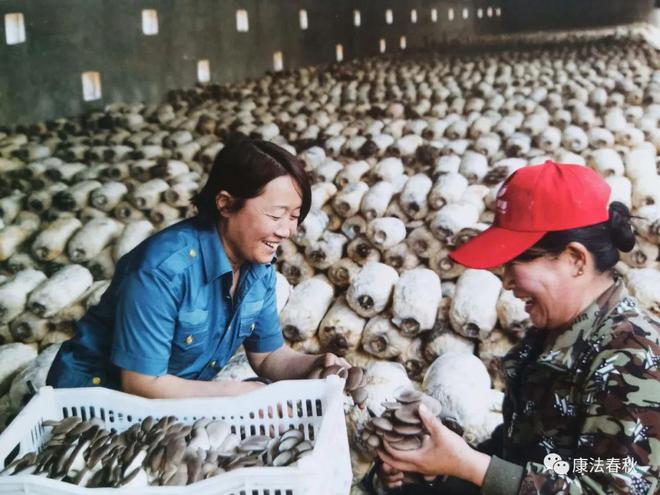 【康平人物】东关街道致富带头人张金平