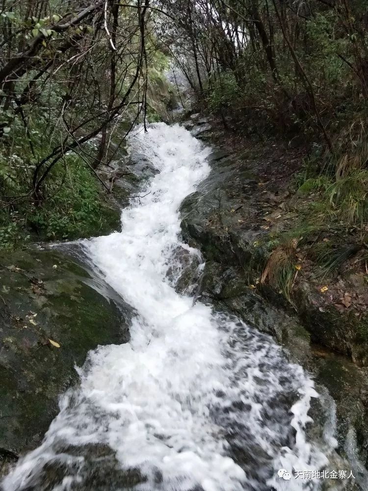 致富经种植灵芝_致富灵芝种植方法_致富灵芝种植视频