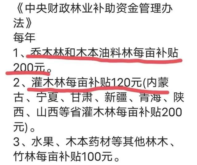 致富沙漠种植项目有哪些_沙漠种树项目_沙漠种植致富项目