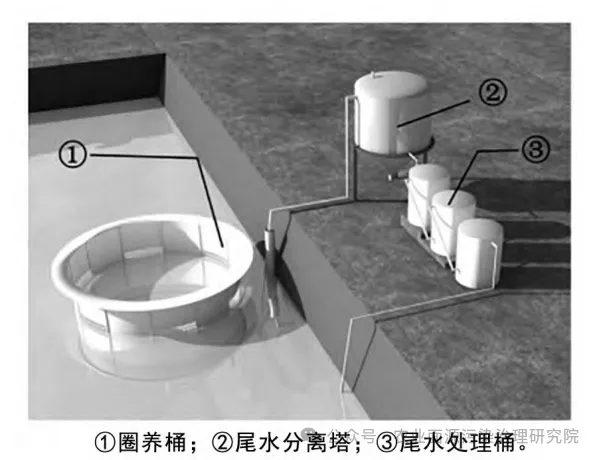 视频养殖田螺技术大全_田螺养殖技术视频_养殖田螺的视频