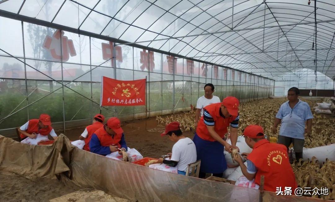 养殖水鸭子技术_鸭子养殖技术视频_鸭子养殖过程