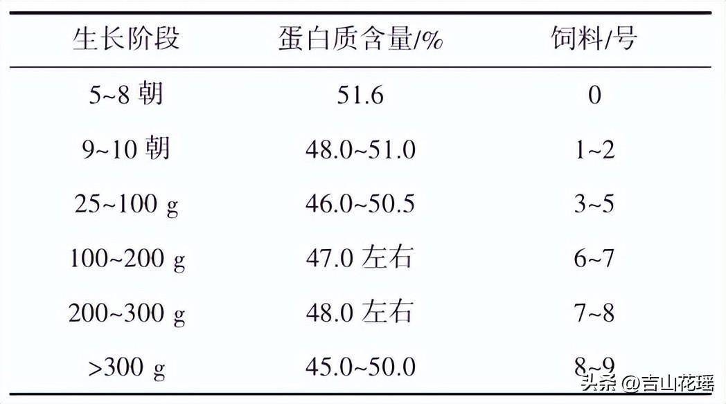 重庆地区加州鲈养殖技术