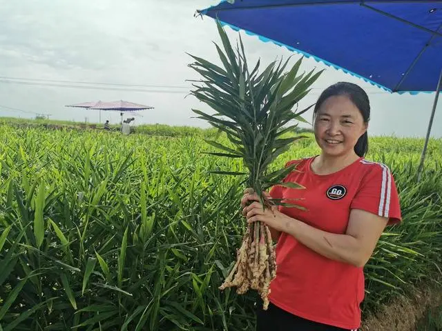 养殖致富带头人典型材料_养殖致富带头人先进事迹_养殖致富带头人 新闻