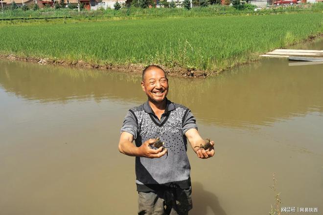 致富经水库养鱼_致富经养殖鱼视频_致富经河道养鱼视频