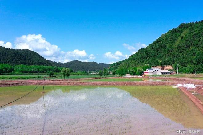 致富经河道养鱼视频_致富经水库养鱼_致富经养殖鱼视频