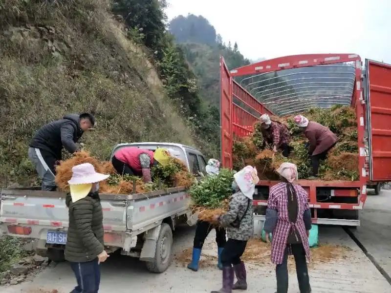 致富经养殖鱼视频_致富经河道养鱼视频_2018年致富经全集养鱼视频