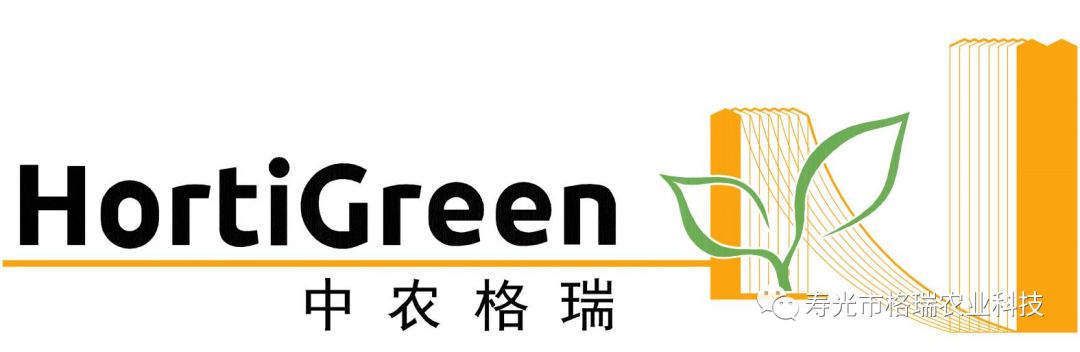 番茄种植视频播放_番茄种植技术视频播放_高产番茄种植技术视频