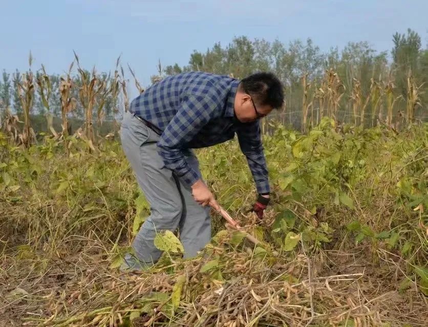 大学生回家创业养殖_大学生回家养猪的成功案例_大学生回老家养殖致富案例