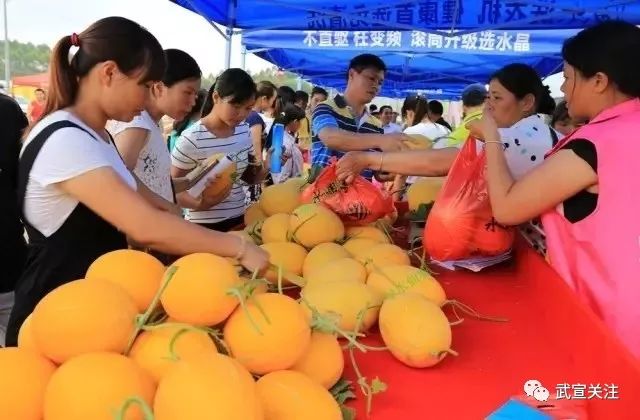 农业种植题材小品_小品致富能手_农产品种植致富的小品