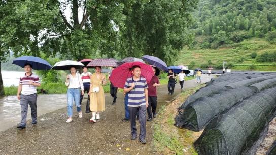 致富经水库养鱼_致富三农视频养鱼_致富经河道养鱼视频