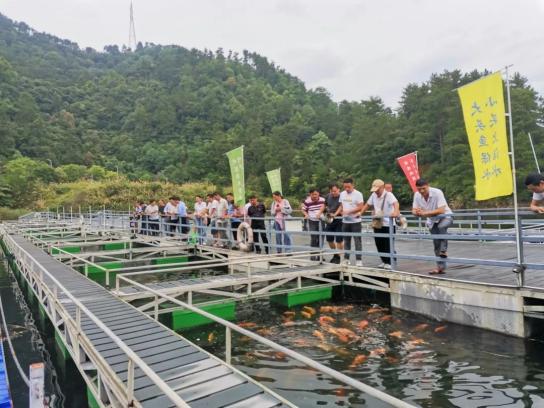 致富经水库养鱼_致富三农视频养鱼_致富经河道养鱼视频