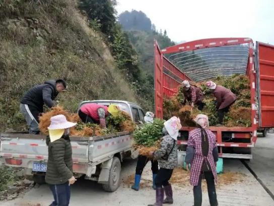 致富三农视频养鱼_致富经水库养鱼_致富经河道养鱼视频