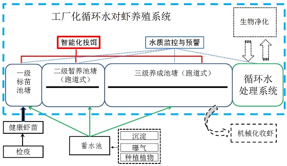 蛇养殖与蛇产品加工_工厂化蛇养殖技术_蛇场建设养殖场视频