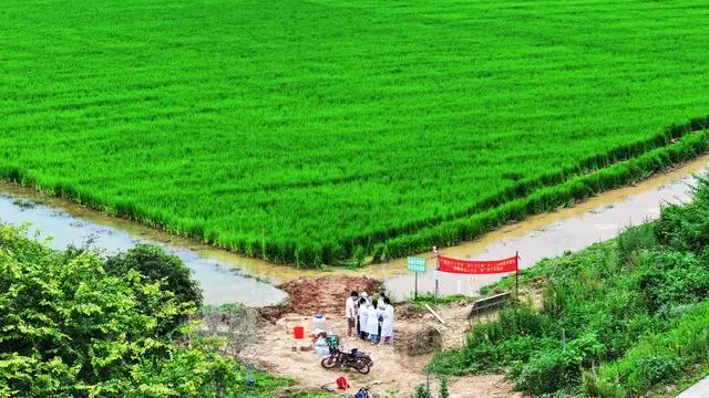 河源蔬菜种植基地_河源种植致富_河源致富村