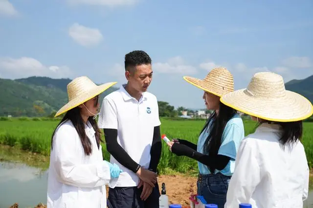 河源蔬菜种植基地_河源致富村_河源种植致富