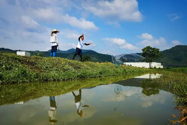 河源致富村_河源蔬菜种植基地_河源种植致富