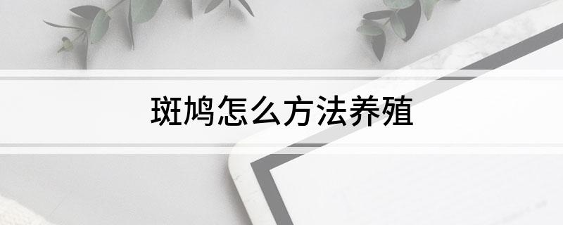 2、斑鸠养殖场地搭建