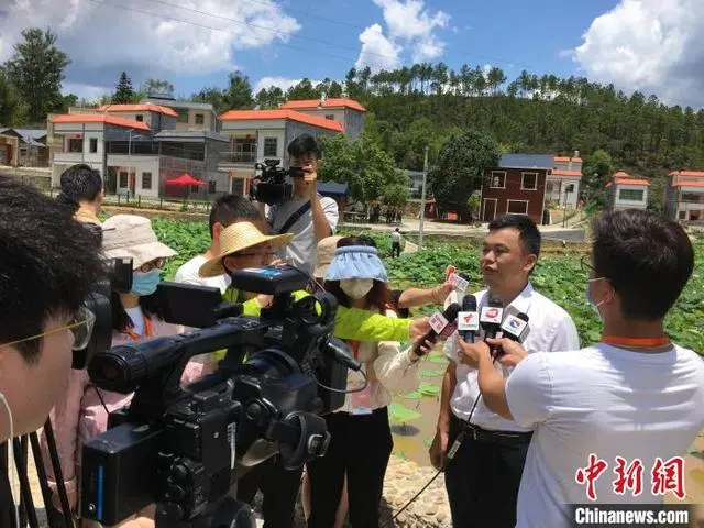 河源致富村_广东河源种植什么好_河源种植致富