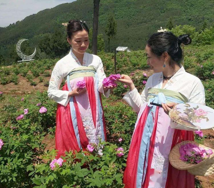 农村致富项目种植业_农田种植致富花_致富农田种植花生的意义