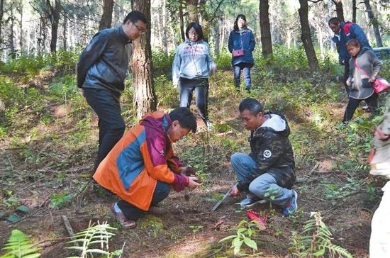 院士种植致富_院士种植致富_院士种植致富