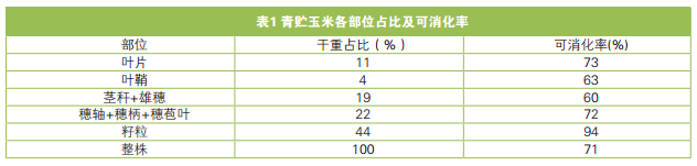 赵久然：青贮玉米指标研究在优良青贮玉米品种鉴评中的应用