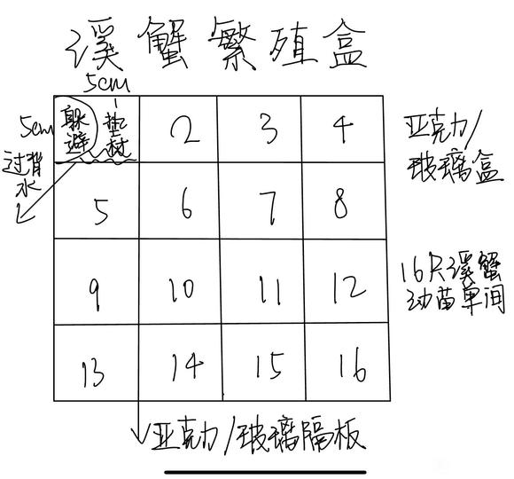 立体养殖螃蟹_螃蟹立体养殖设备骗局_旁蟹的立体养殖技术