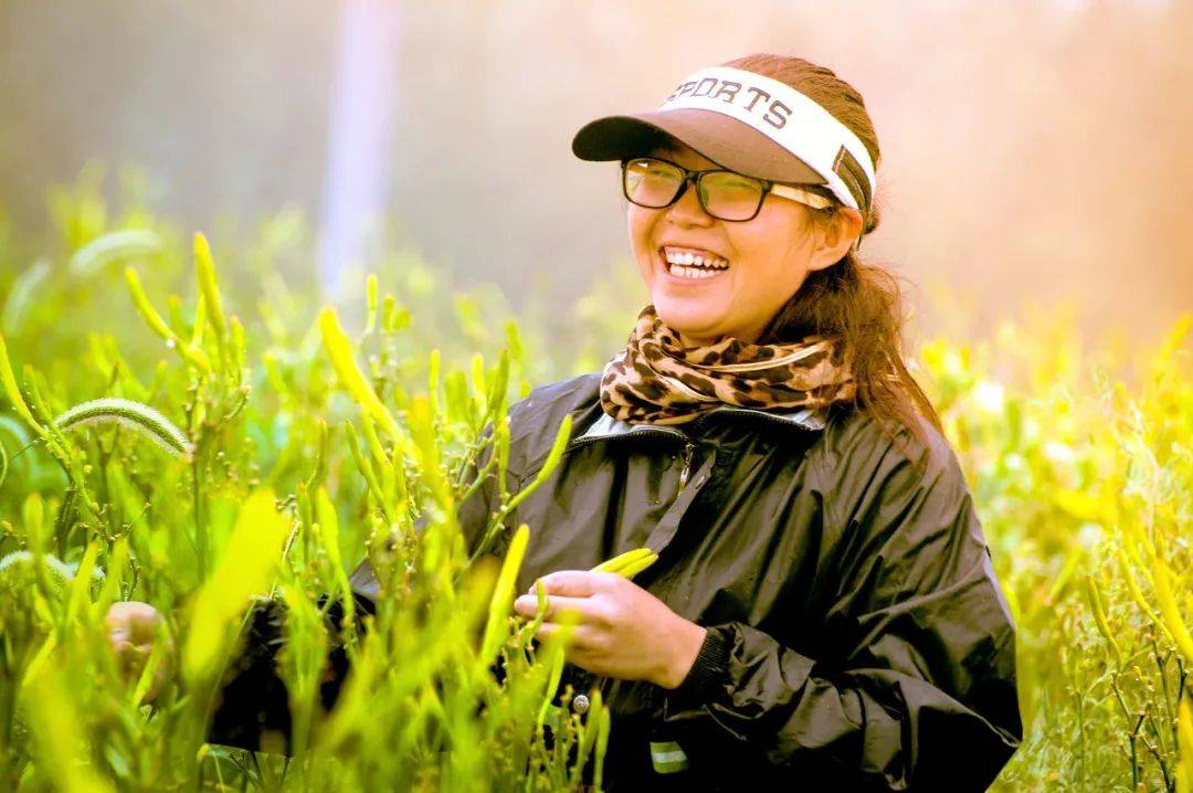 种冬枣赚钱吗_致富种植冬枣怎么样_种植冬枣致富