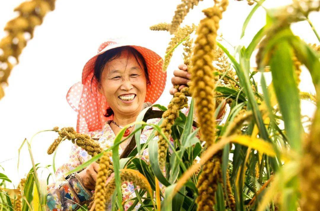 种冬枣赚钱吗_致富种植冬枣怎么样_种植冬枣致富